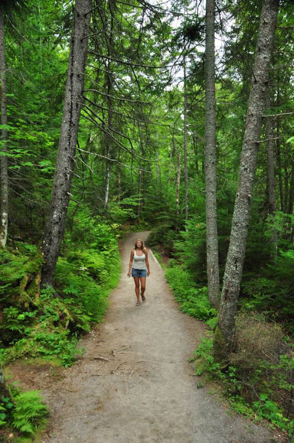 Caminhando no Parc National du Mont -Tremblant, na província de Quebec, no Canadá